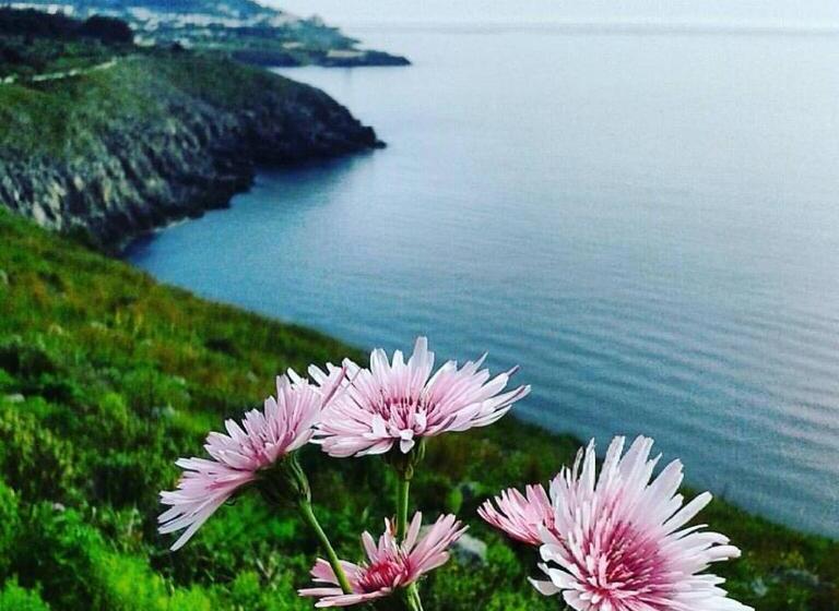 스탠다드 발코니 스튜디오, Athena B&b Castro