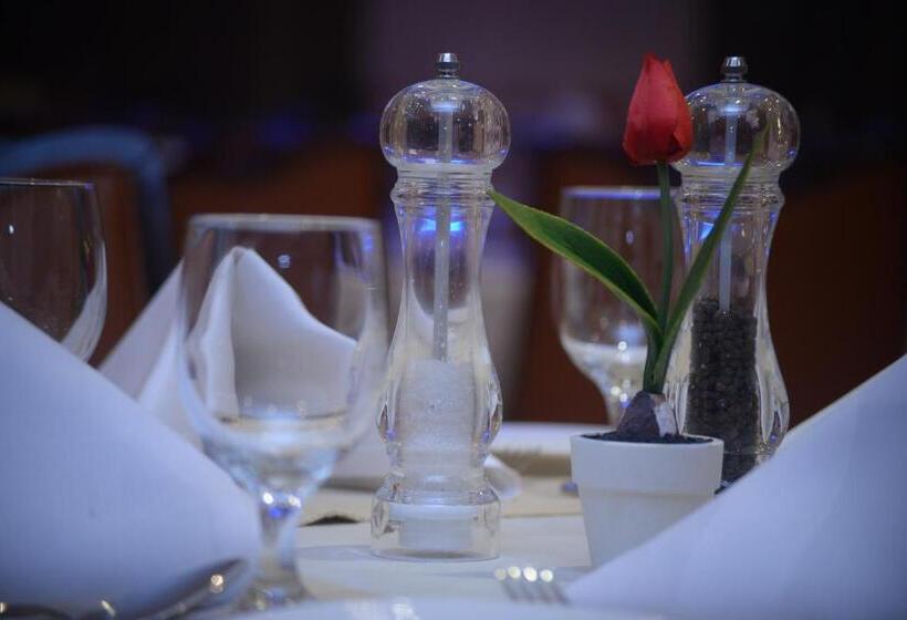 سوئیت با تخت بزرگ, Al Madina Suites Doha