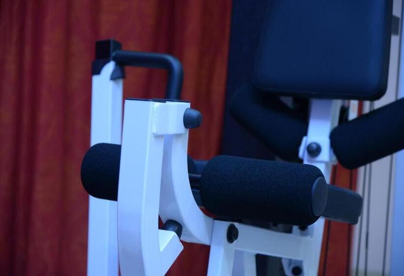 سوئیت با تخت بزرگ, Al Madina Suites Doha