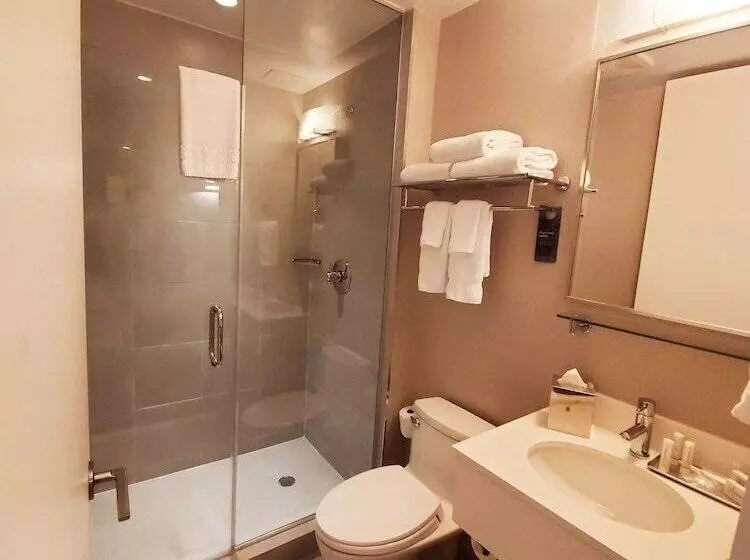 Standard-huone 2 Parivuodetta, Fairfield Inn & Suites By Marriott New York Brooklyn