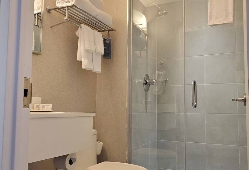 Номер Стандарт 2 Двуспальные Кровати, Fairfield Inn & Suites By Marriott New York Brooklyn