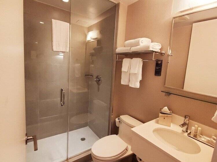 Номер Стандарт Двуспальная Кровать, Fairfield Inn & Suites By Marriott New York Brooklyn