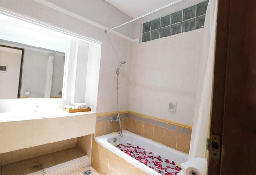 Номер Deluxe Вид на Сад, Fourteen Roses Beach