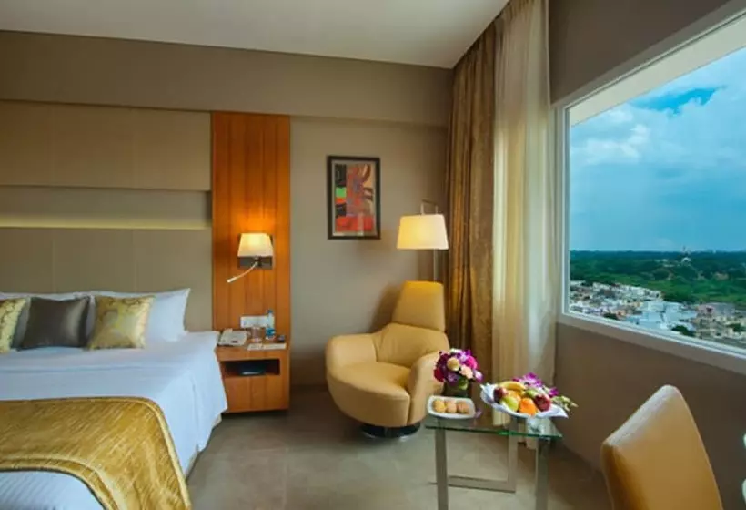 クラブルーム, Royal Orchid Central Vadodara