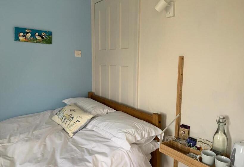 기본룸, Holly Trees