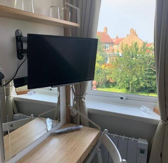 기본룸, Holly Trees