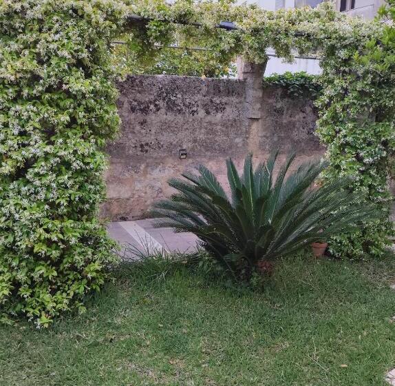 סוויטה, Corte Piri