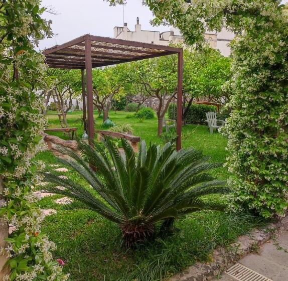 סוויטת ג'וניור, Corte Piri