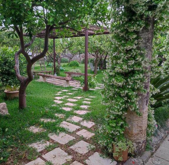 סוויטה, Corte Piri