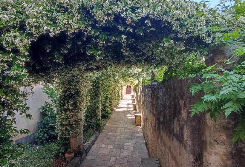 סוויטת ג'וניור, Corte Piri