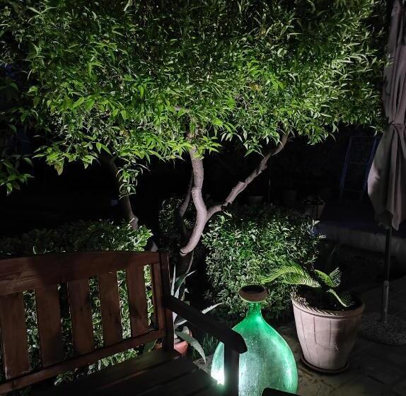 סוויטת ג'וניור, Corte Piri