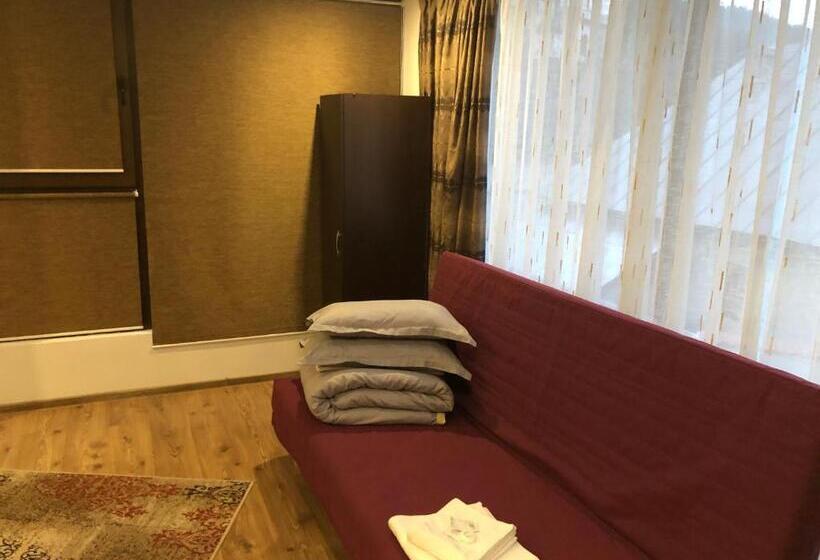 패밀리 룸, Lunca Lui Dan