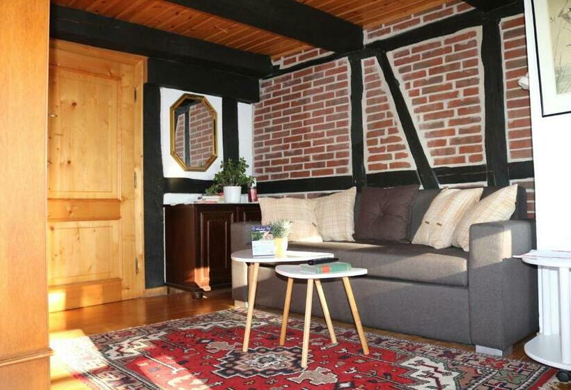 Апартаменты 1 Спальня, Appartementhotel Blomberger Hof