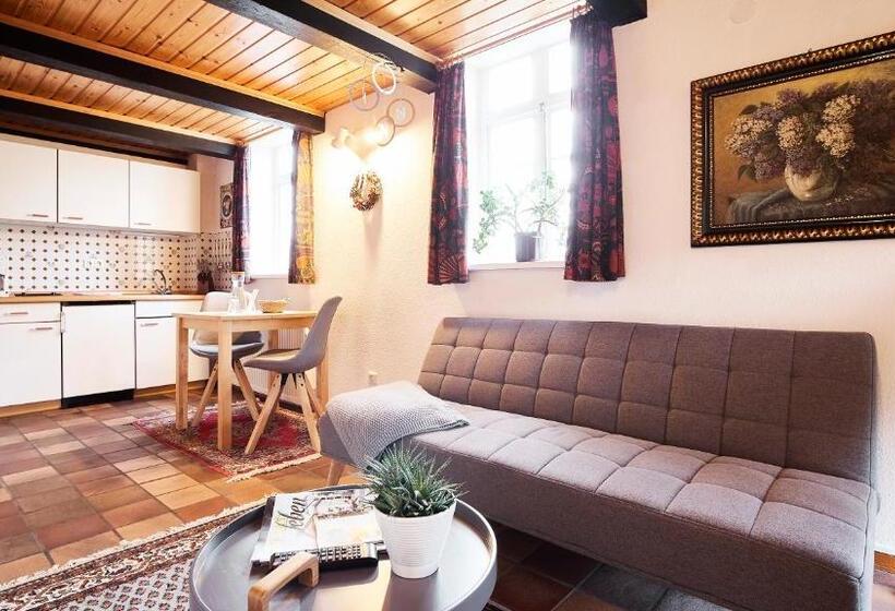 Апартаменты 1 Спальня, Appartementhotel Blomberger Hof