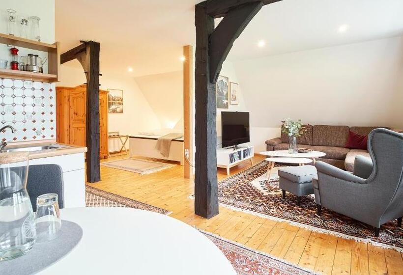 شقة ديلوكس غرفة واحدة, Appartementhotel Blomberger Hof