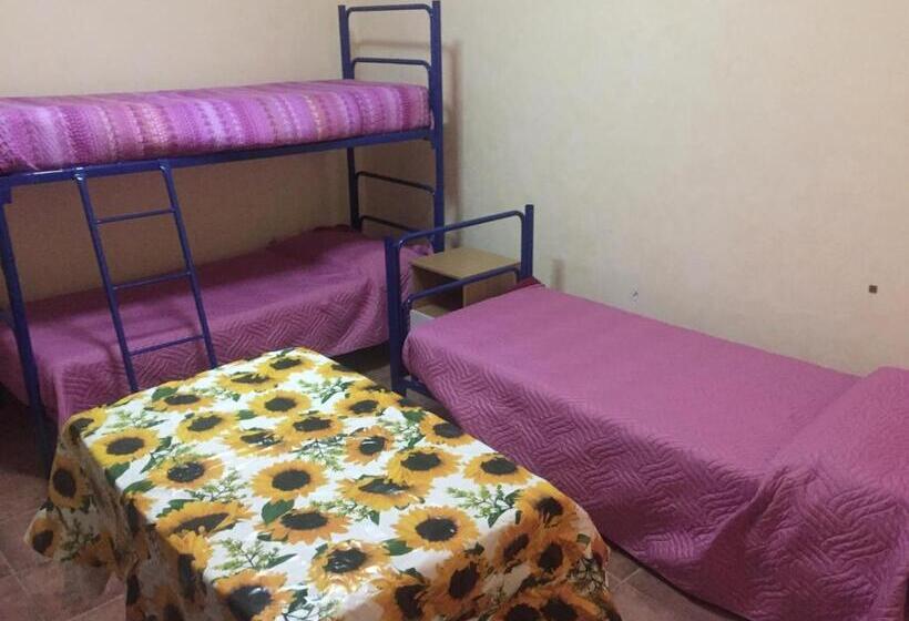 غرفة أساسية ثلاثية, Oikos