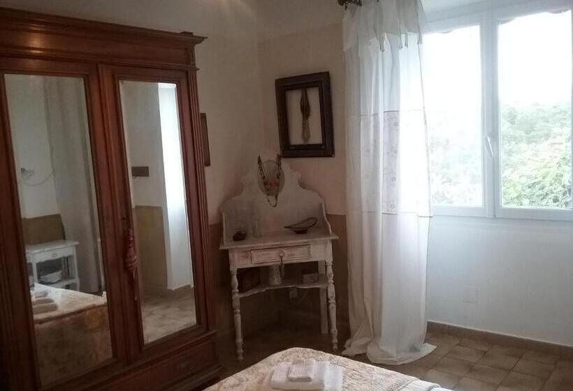 Номер Стандарт, Le Petit Fabre