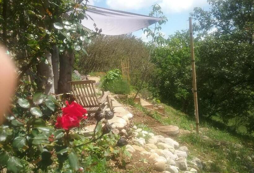 Номер Стандарт, Le Petit Fabre