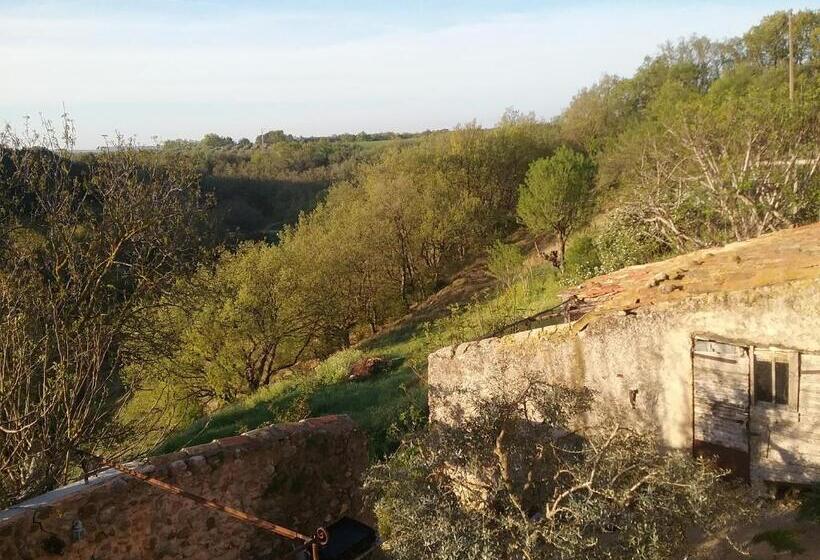 Номер Стандарт, Le Petit Fabre