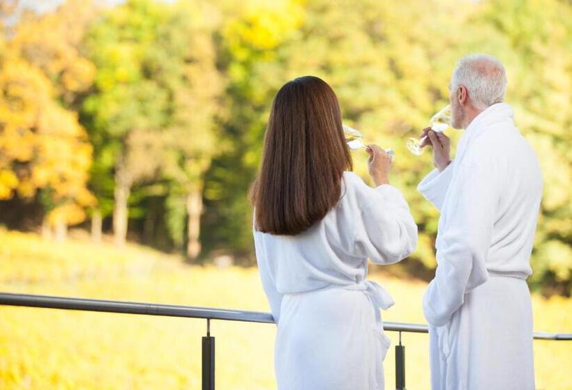 스탠다드 발코니 룸, Weinvilla Vollmayer