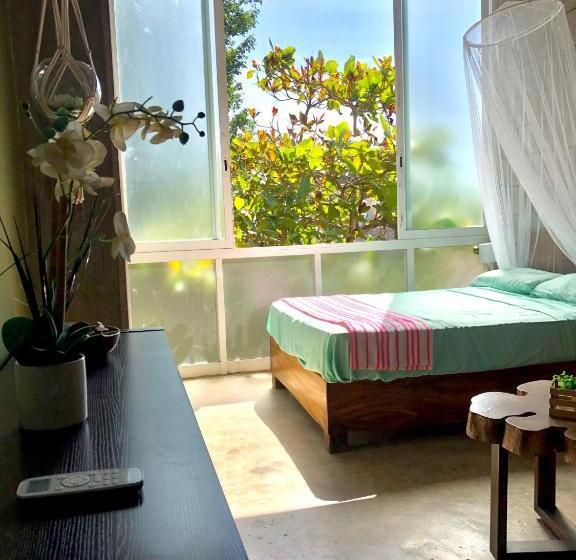 标准间, Hostal Tortuga