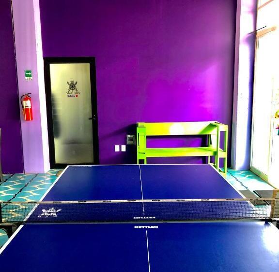 共用房间的床, Hostal Tortuga