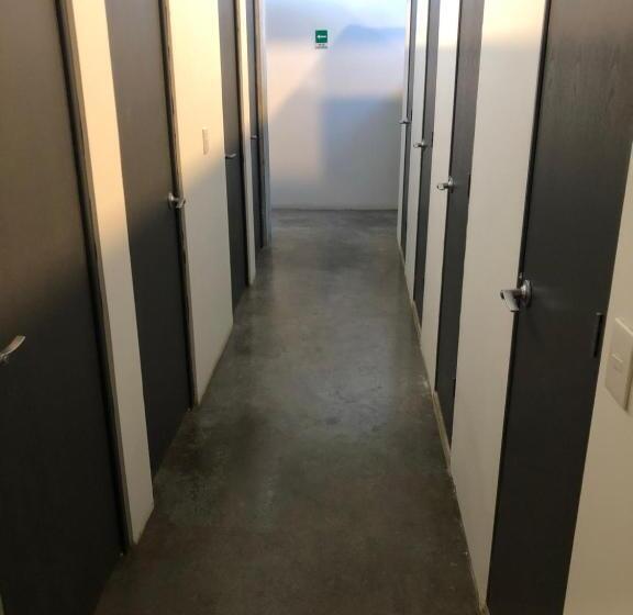 Łóżko we Wspólnym Pokoju, Hostal Tortuga