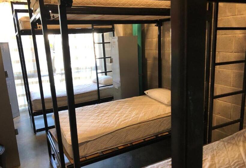 Łóżko we Wspólnym Pokoju, Hostal Tortuga