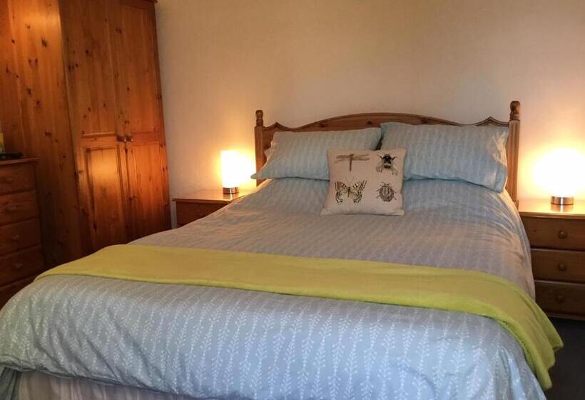 デラックスルーム, Broadsea