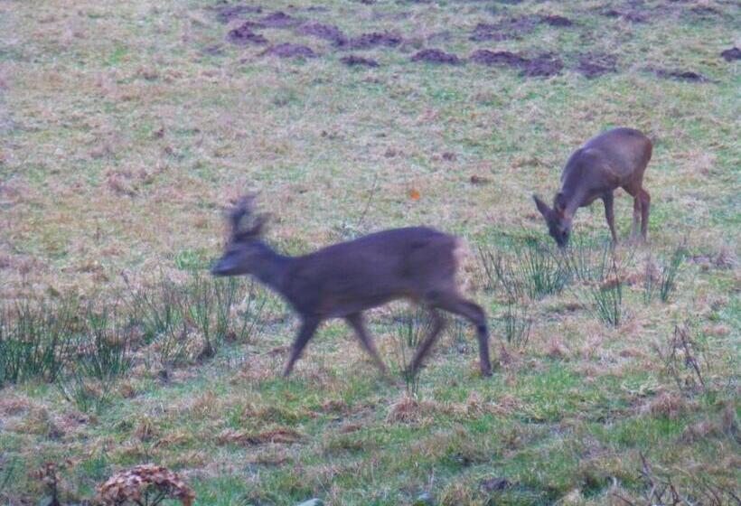 Talo 1 Makuuhuone, Hay On Hye Retreat