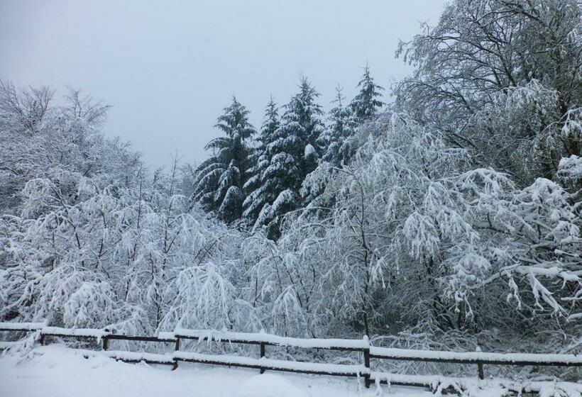 Standard-huone King-vuode, Hay On Hye Retreat