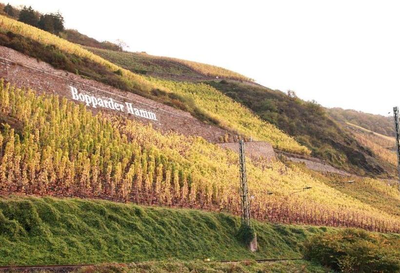 Люкс, Gemütlich Und Zentral In Boppard