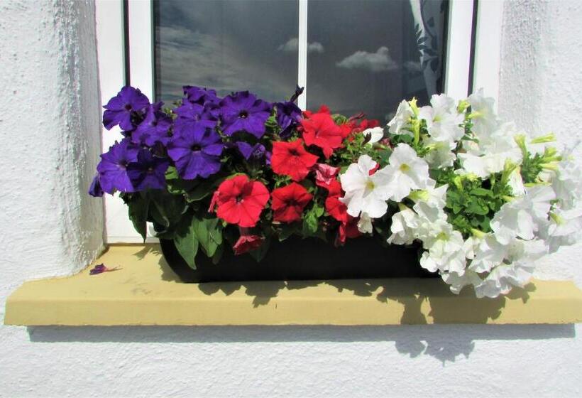 غرفة قياسية, Breacan Cottage B&b