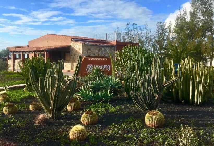 غرفة قياسية فردية, Warung