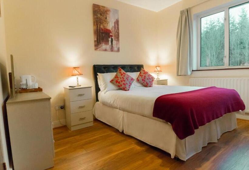 Номер Стандарт, Dorney S B&b