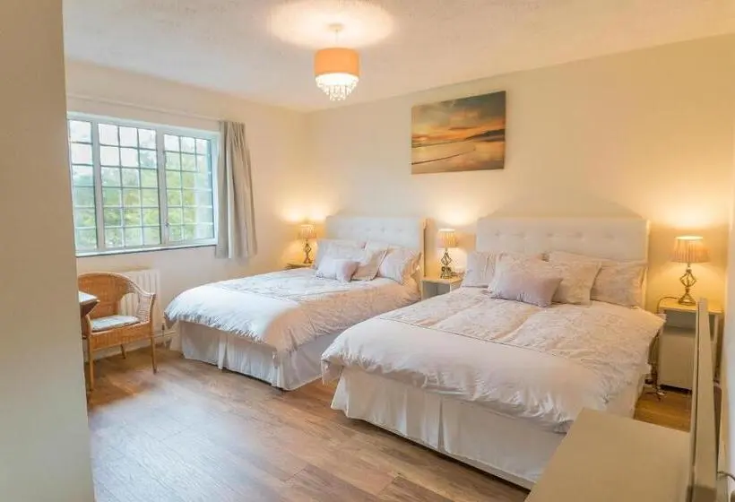 デラックスファミリールーム, Dorney S B&b