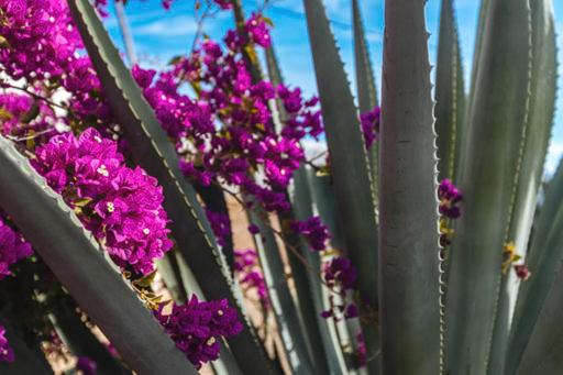 침실 1개 바다 전망 아파트, L Air De La Mer