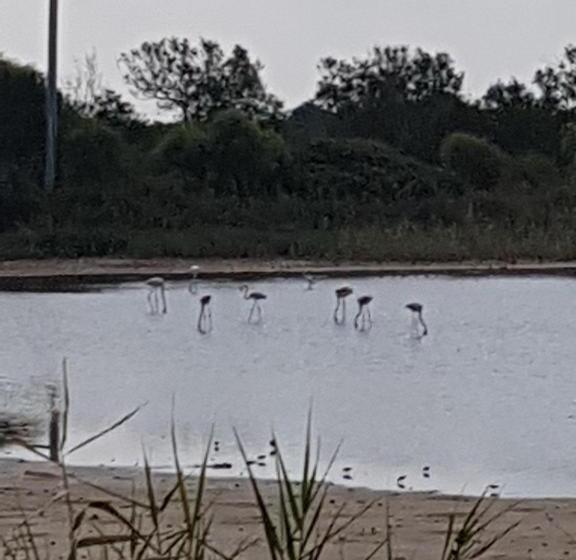 خانه 3 خوابه, Villa Giorgia