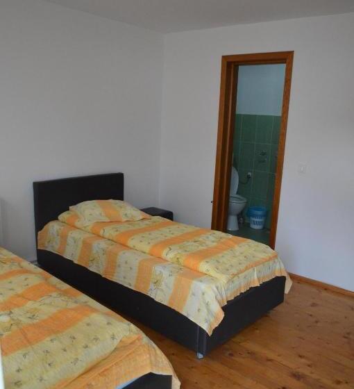 Номер Стандарт, Baza Sportiva Adelina