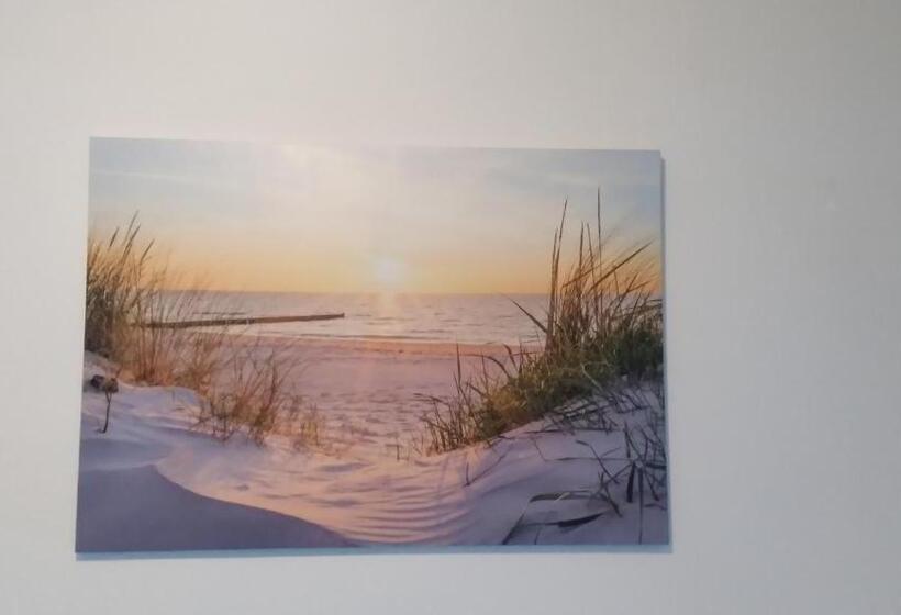 스탠다드 룸 공동 욕실, Love Alicante