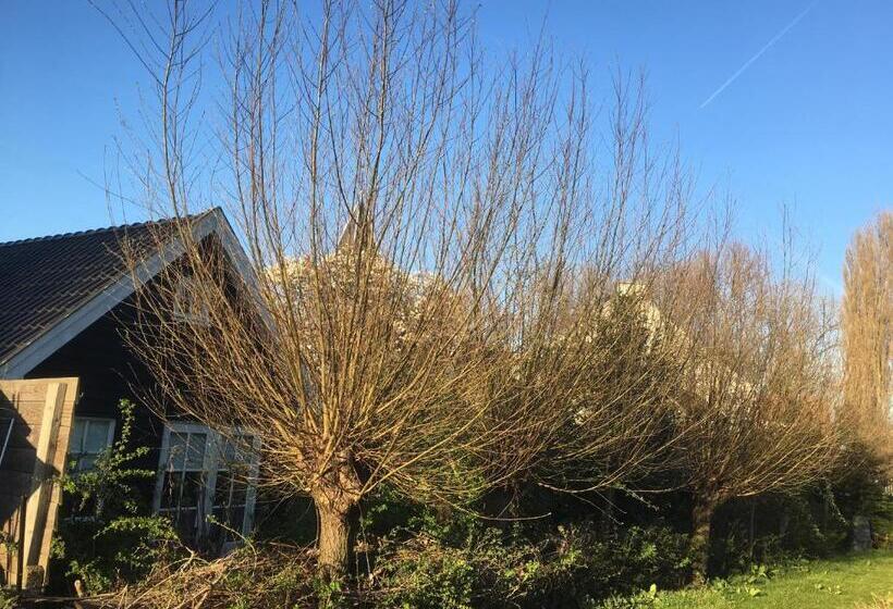 آپارتمان 1 خوابه با تراس, Gina S Garden House