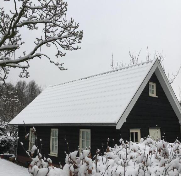 آپارتمان 1 خوابه با تراس, Gina S Garden House