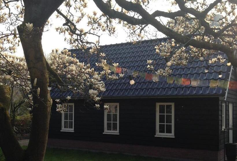 آپارتمان 1 خوابه با تراس, Gina S Garden House