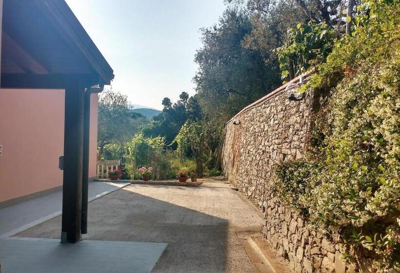 Pokój Standard, La Vie Est Belle