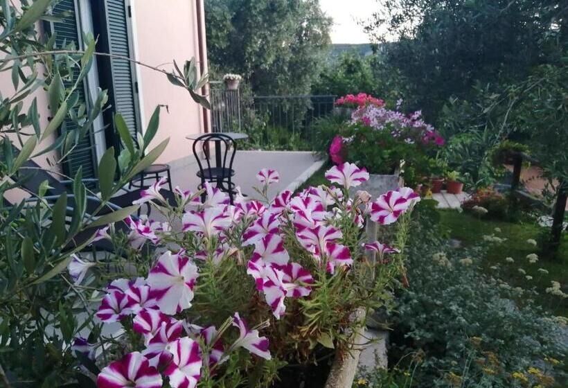 Pokój Standard, La Vie Est Belle