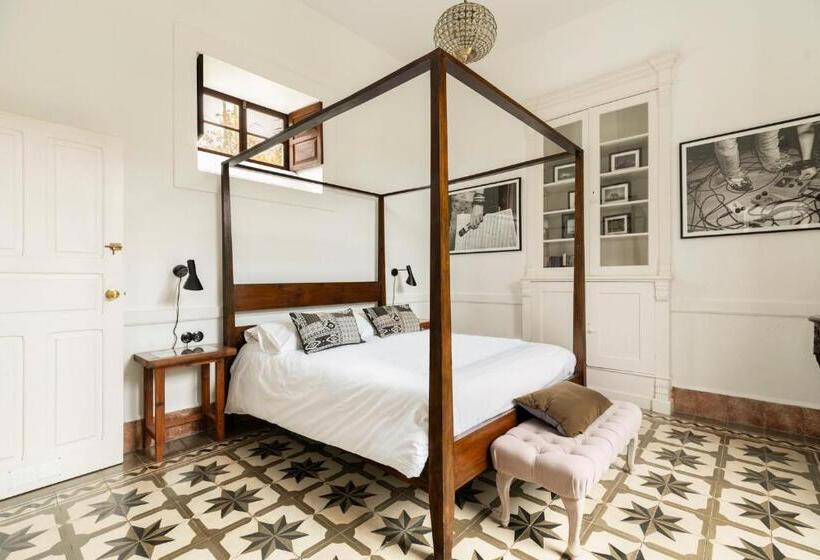 סוויטה דלוקס, The El Paso