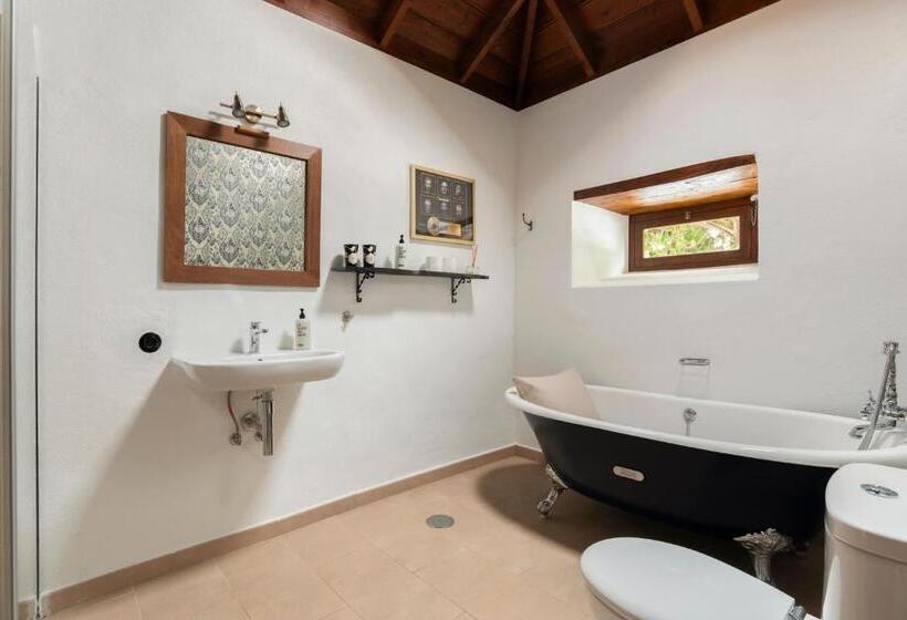 נוף לבריכה, The El Paso