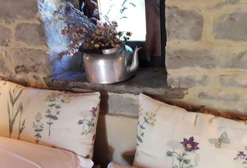 סוויטה, Ca  D Alfieri