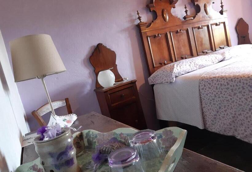 חדר סטנדרט, Ca  D Alfieri