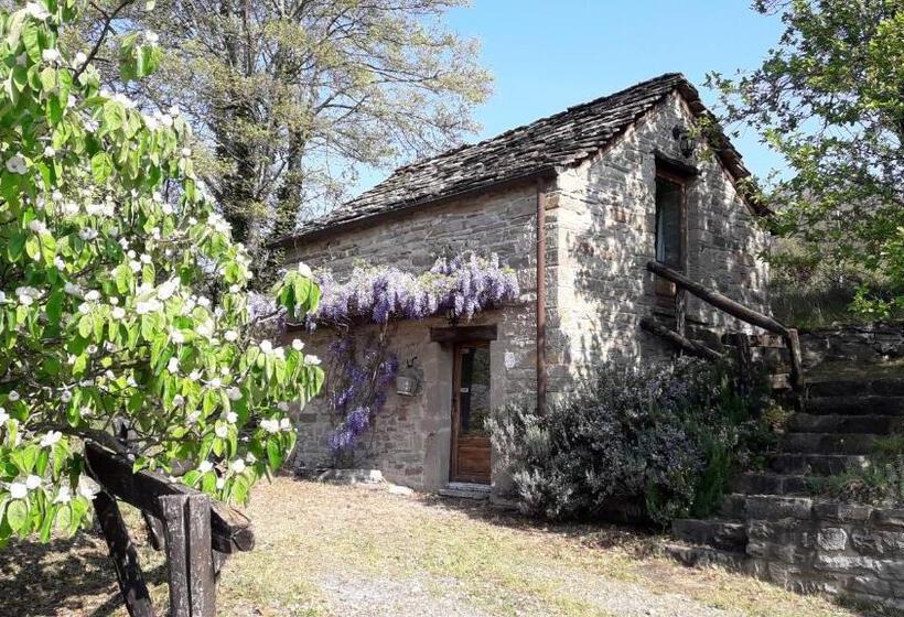 סוויטה, Ca  D Alfieri